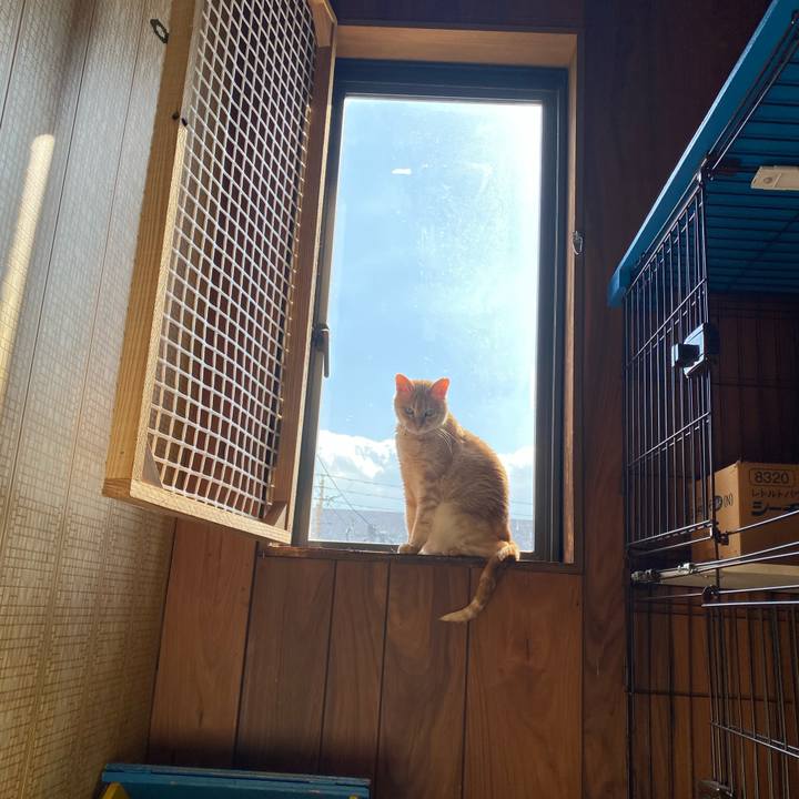 A0a5597c 3397 40e1 826b 6b7c96b1b231 1732178043502