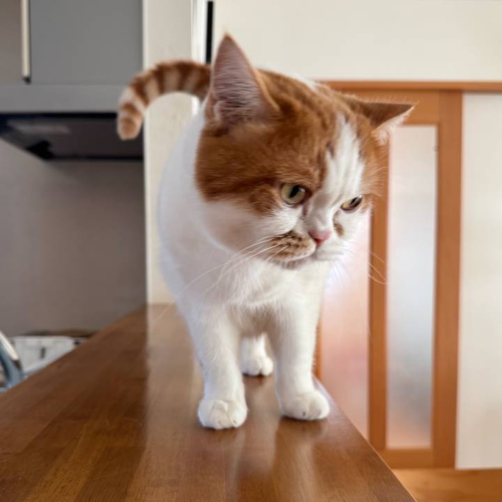 A0a56216 c09a 48b5 8e9f e9c84dc323ae 1763346816052