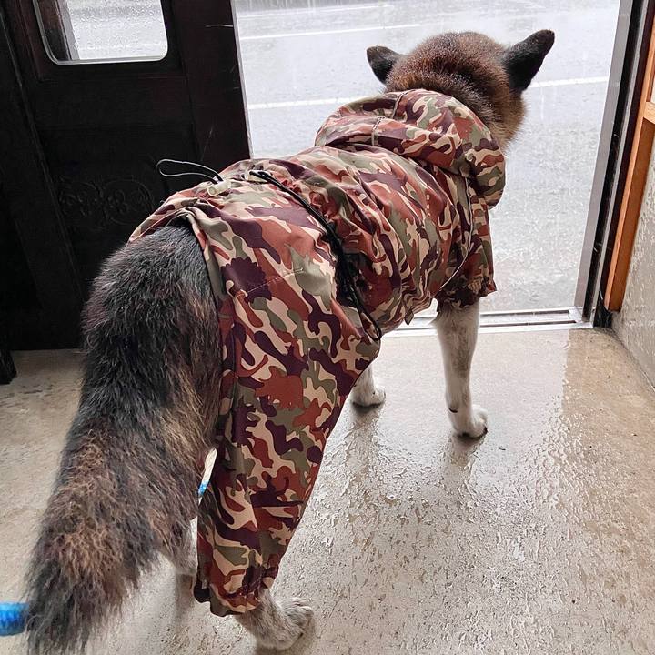 A0a569ff fc36 4f62 84ce 6736f1b17ce8 1720478886235