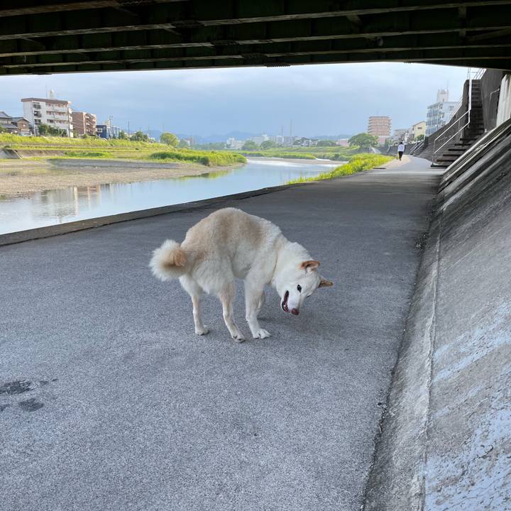 A0a57381 da2c 480f 9b15 80e79d4a63de 1654356074078