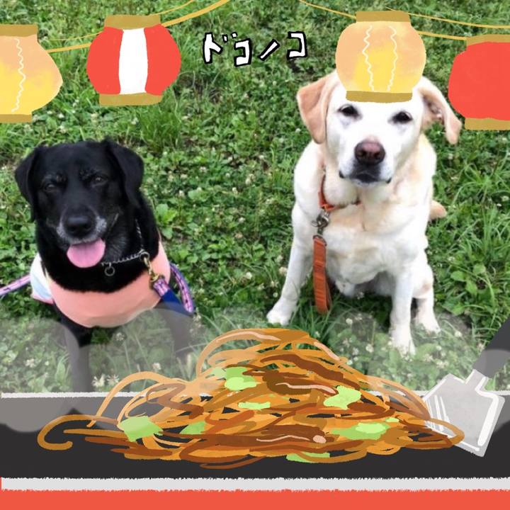 A0a5c42f ff2a 44e3 a37e 9ec5ead775b3 1755391777541