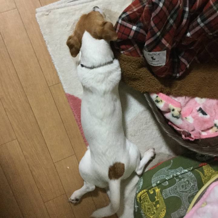 A0a671fa 46ec 4eaf ae36 a381e82e6625 1508062046824