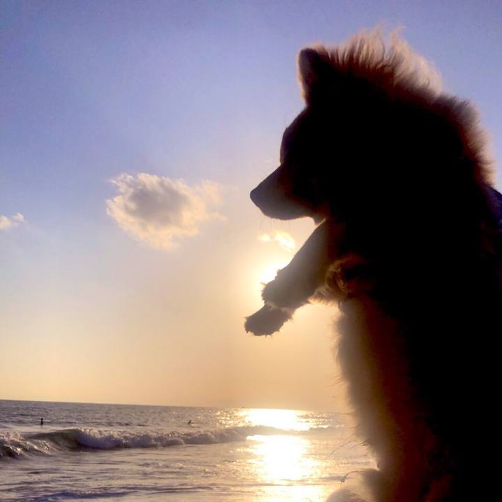 A0a6870f 65ce 4c44 96cd 27f31c52c342 1582541629527