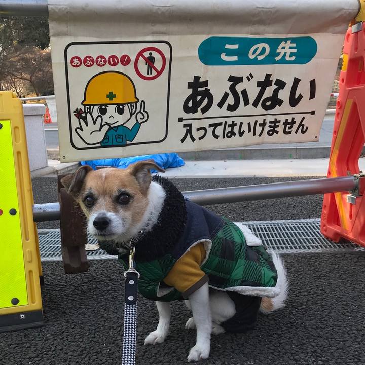 A0a68cbe 7b71 4f0e 9874 759c1fefcc02 1548228853016