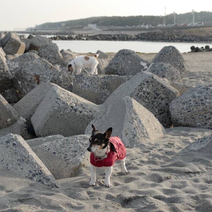 A0a68d14 c265 42da b551 d2d4cb991b87 1551845422083