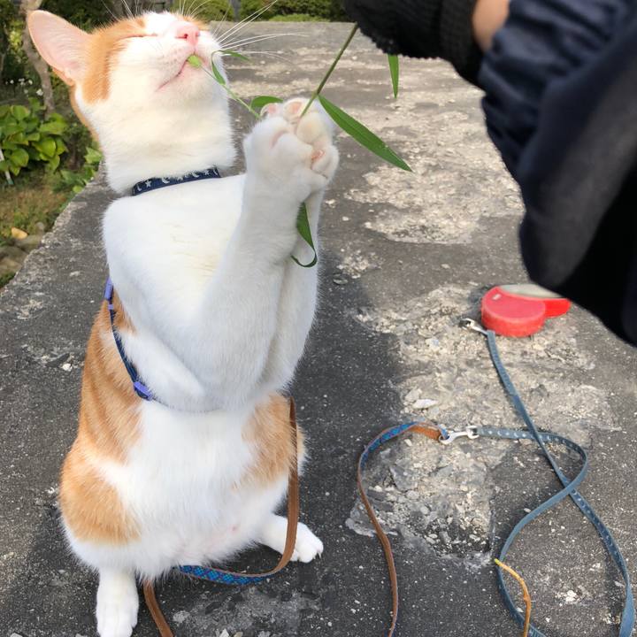 A0a6b69c c04d 4a65 8a01 86929e147a5d 1538562325739