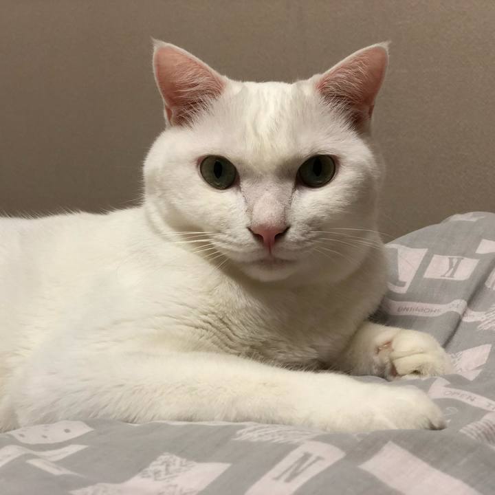 A0a6b99f 061b 4b53 9fbc 47eec098a9e1 1538489947681