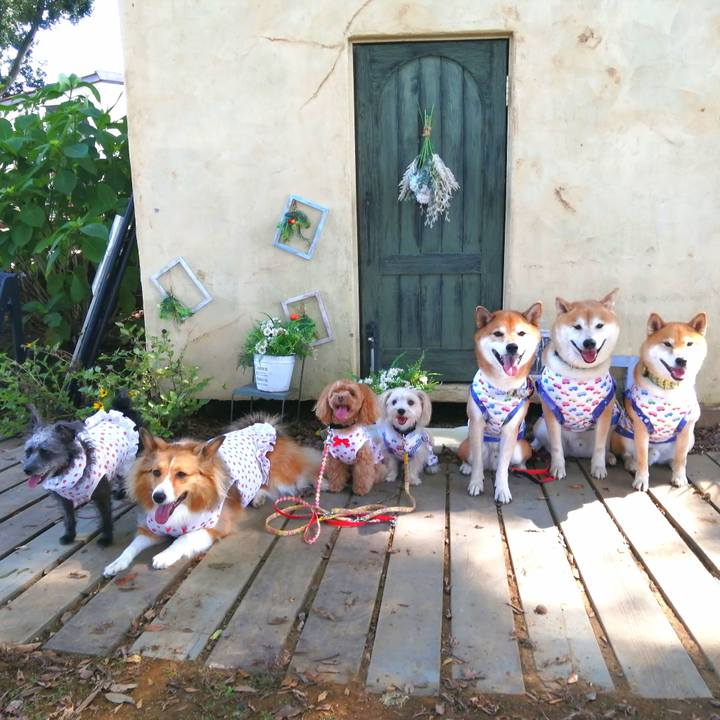 A0a6db41 cce3 4eb5 8979 bc9668d94523 1695171323700