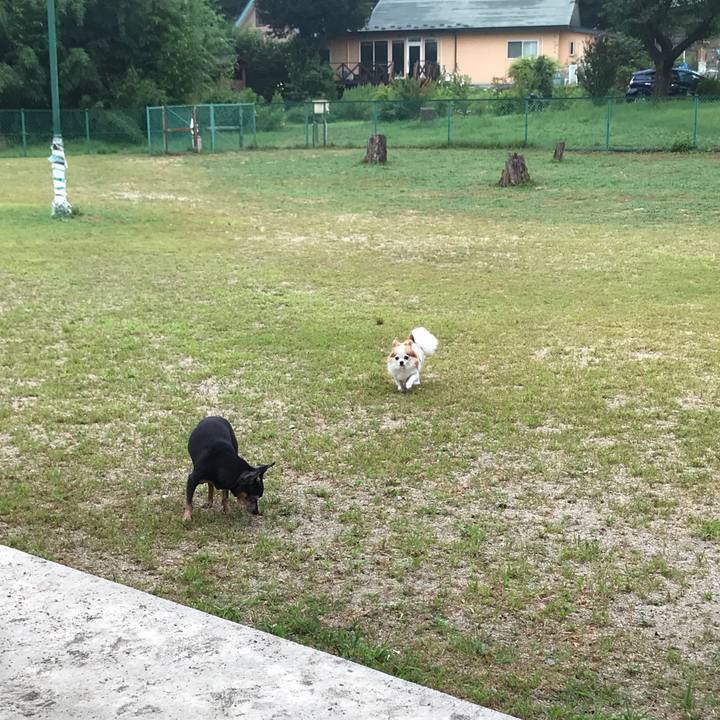 A0a6e78c 7457 4075 9604 565fb19448b2 1566304430823