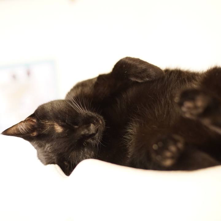 A0a6efdf d39d 4ddc bdf4 fed3e8141715 1534603762779