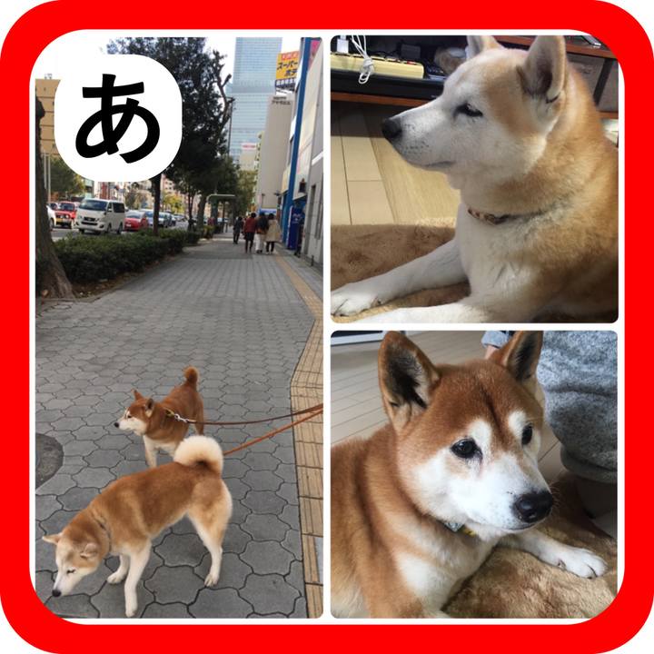 A0a7181a 29a9 4e8e 9ffe fb632955d9e6 1514819862914