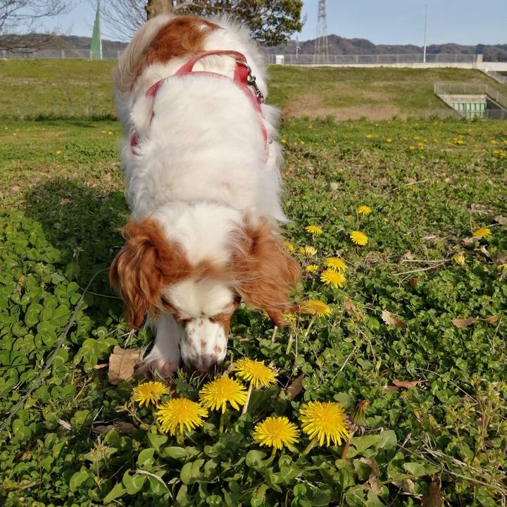 A0a75eda 5876 4039 b05d 2643c1a1aa97 1616145440439