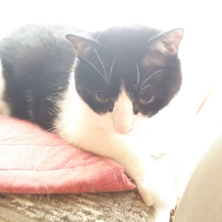 A0a77cc8 bc76 4cce bf52 543b29af1801 1559431384278