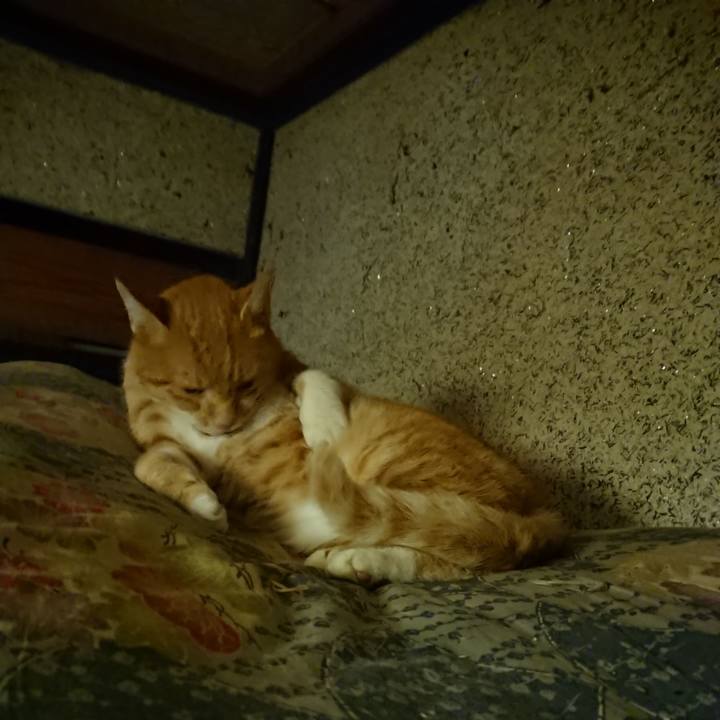 A0a77f0c b588 43f5 a617 841b7dba2fda 1601380081177