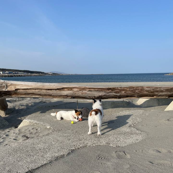 A0a78c41 1029 4240 b2f8 eef2d88be764 1680221008511