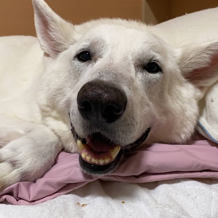 A0a7a48b 9893 4bef 8824 cbba1c721bde 1636701532016