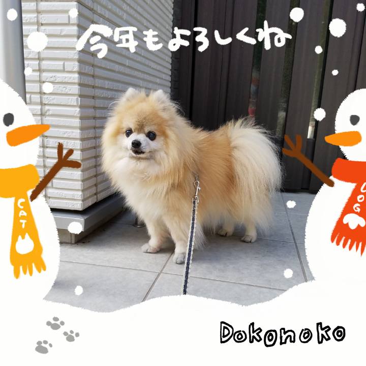 A0a7a859 abb7 45a9 b326 ed71e719ca60 1704537593979