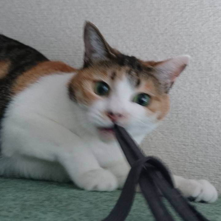 A0a7f25e 6cfb 4cfa a804 284a0c7c794e 1546225660351