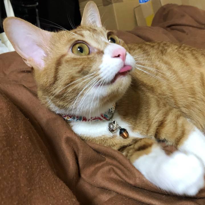 A0a85667 53d5 44e9 9cea 967ba44018cd 1559907531457