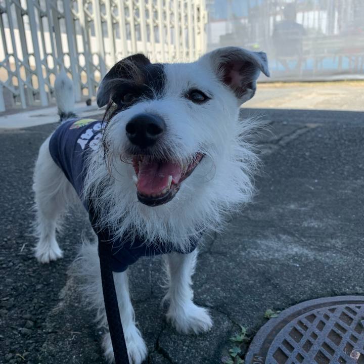 A0a88792 fd52 4106 8aa0 0d5aeb602889 1633137489969