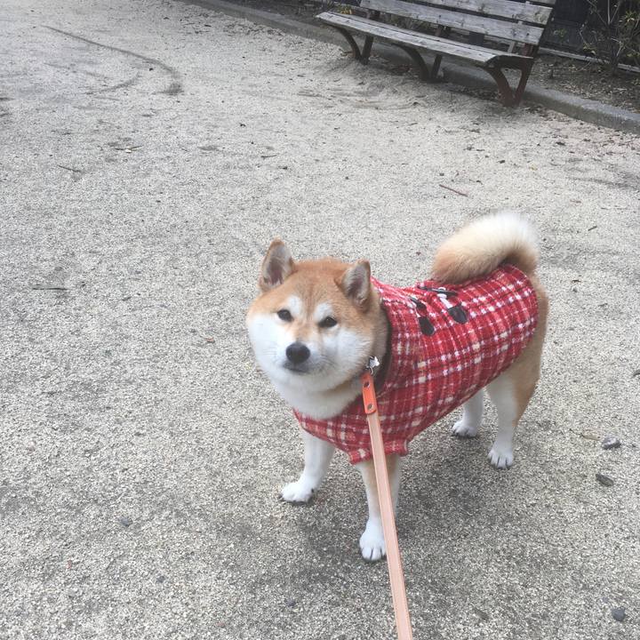 A0a887f7 ea5c 4d02 bc4a 7a4216f7eeb9 1544663214831