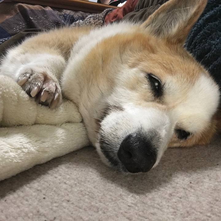 A0a888ae e3fd 49ab a1b1 7917e93c1e66 1553954249106