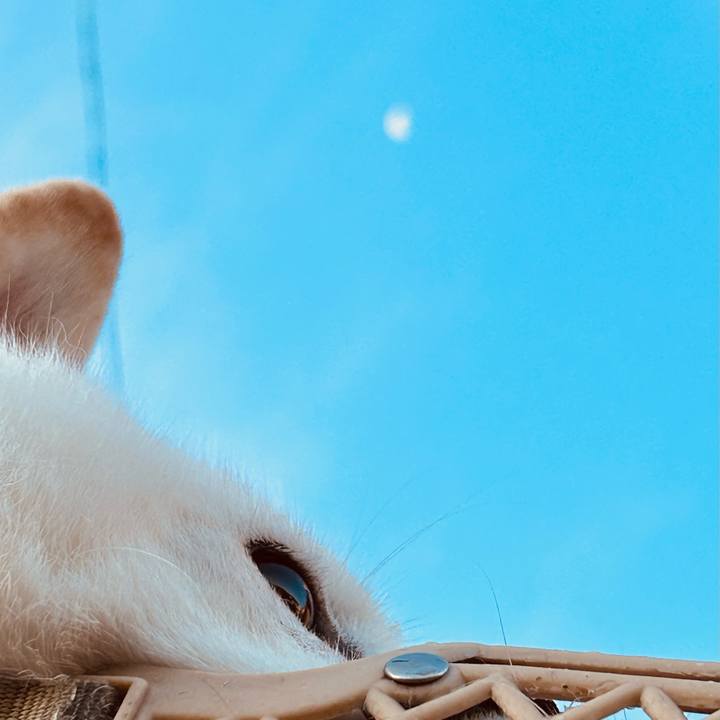 A0a891fd e0c2 498a 991d 6115e4f5c14e 1727212891129