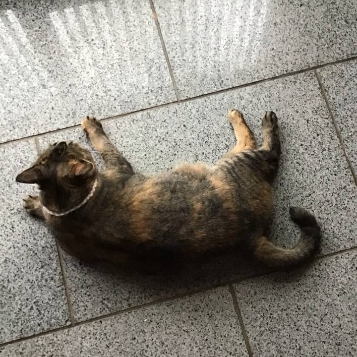 A0a89250 b7be 4950 8452 855613f1f933 1696079391501