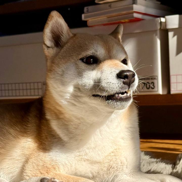 A0a8af4a 834a 455c a764 5503d72db24e 1768443308663