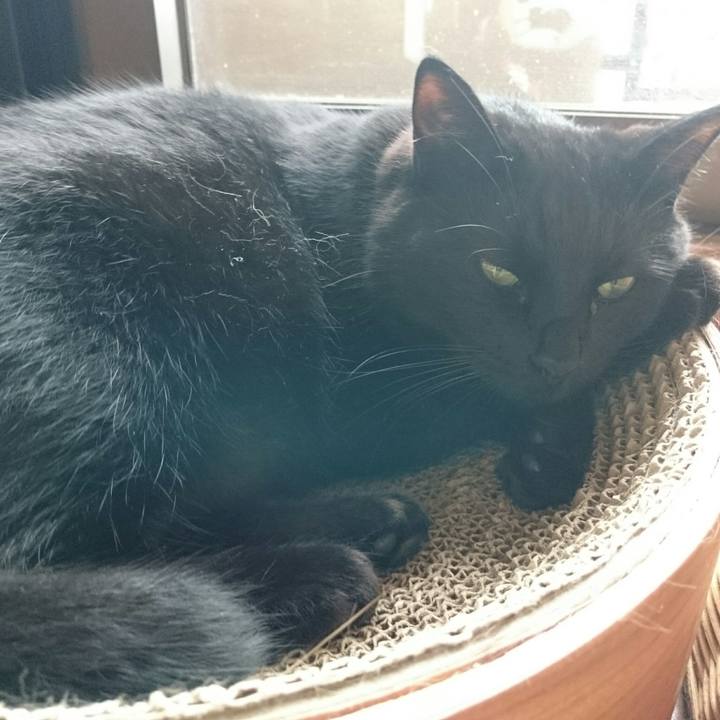 A0a8bf2e 6785 4cac 8074 b0996748690e 1530244112947