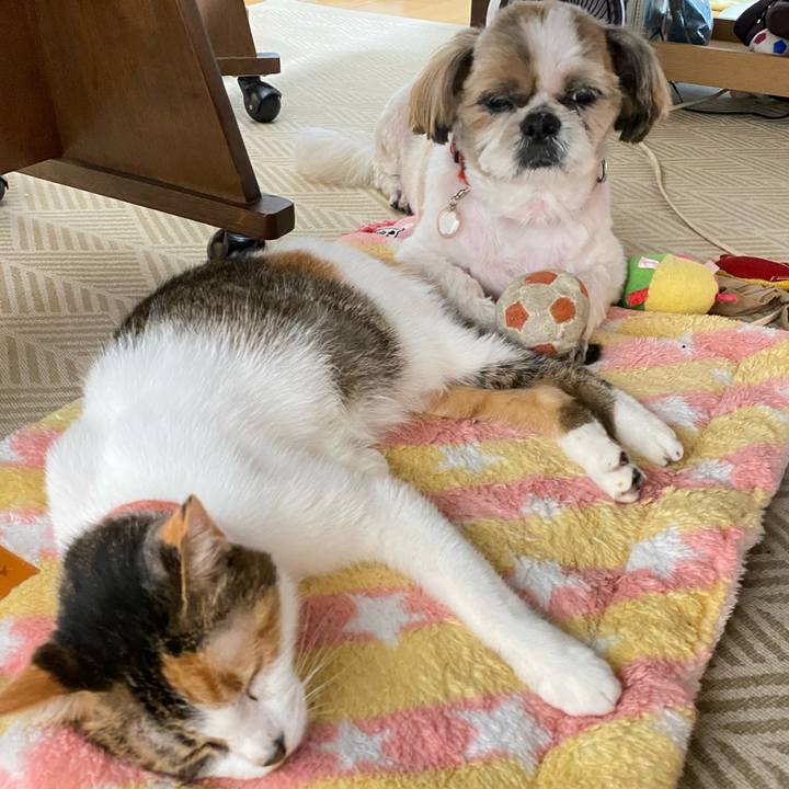 A0a90b46 5ca4 4dda 8288 08b9998885d9 1664785774085