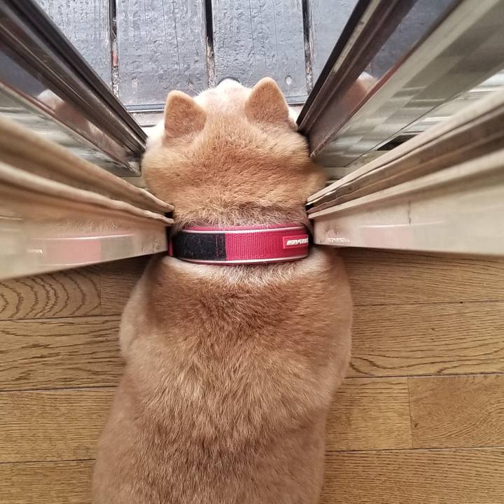 A0a90e10 aa80 491a 995f 1d8bfa5e6b88 1709508769598