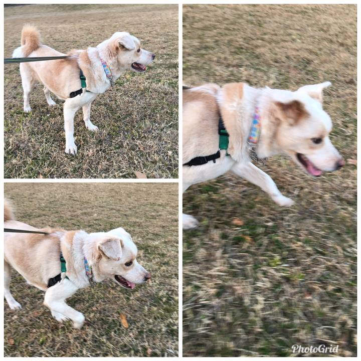 A0a91dda 056d 475f a4e6 e0548b506a16 1516524866300