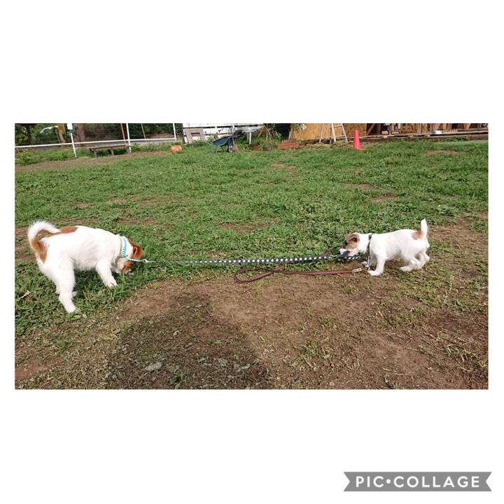 A0a91e01 ac7e 478e a082 98e02129ae1d 1560895527719