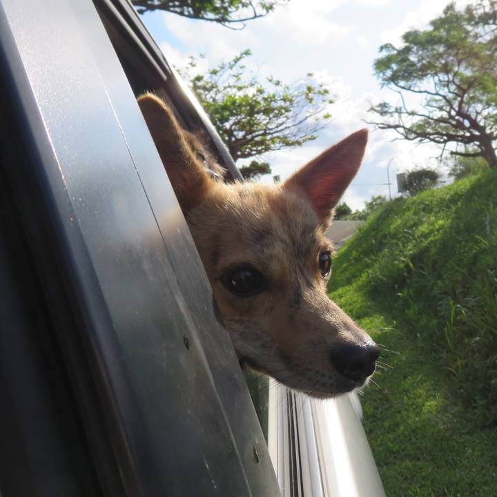 A0a93da4 073d 4bf6 9bb8 3657a2603c2c 1556547454674