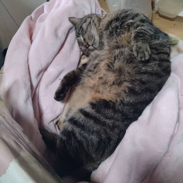 A0a942df 1f0d 477d 9210 29d9c9e7c2c0 1676602458094