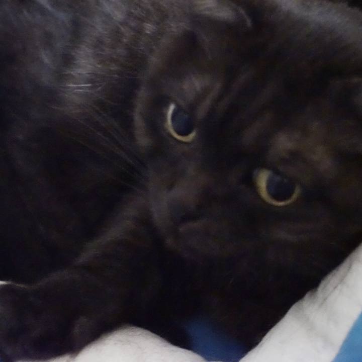 A0a95058 fb61 4e2f 8bc0 6c788e548162 1570114644169