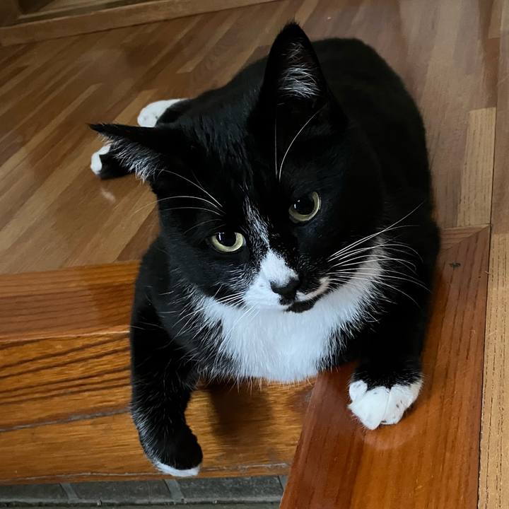 A0a9d521 60f5 4561 ad6a 11fd10f7bd04 1684811210310