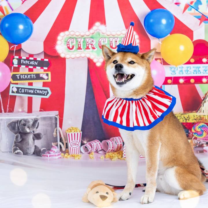 A0a9e73e 2388 4c57 8b4a 028f6eae2d09 1653820139649