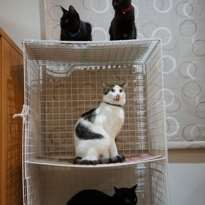 A0a9fc00 9c35 4316 b177 58c2e32f706e 1510320615625