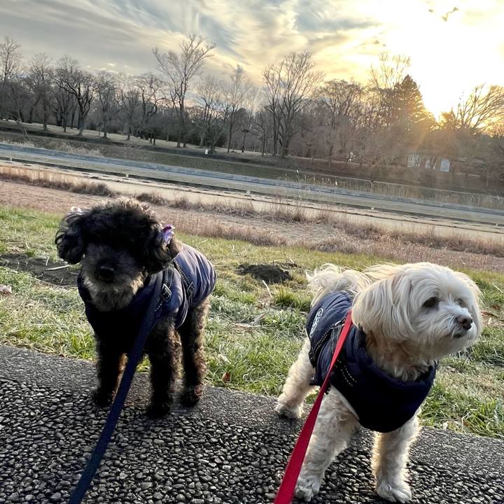 A0aa05b7 d75d 4673 ac3b c46de355afd7 1769849029832