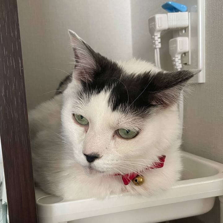 A0aa14fd 9935 4593 9de6 92815c657a57 1624246462787