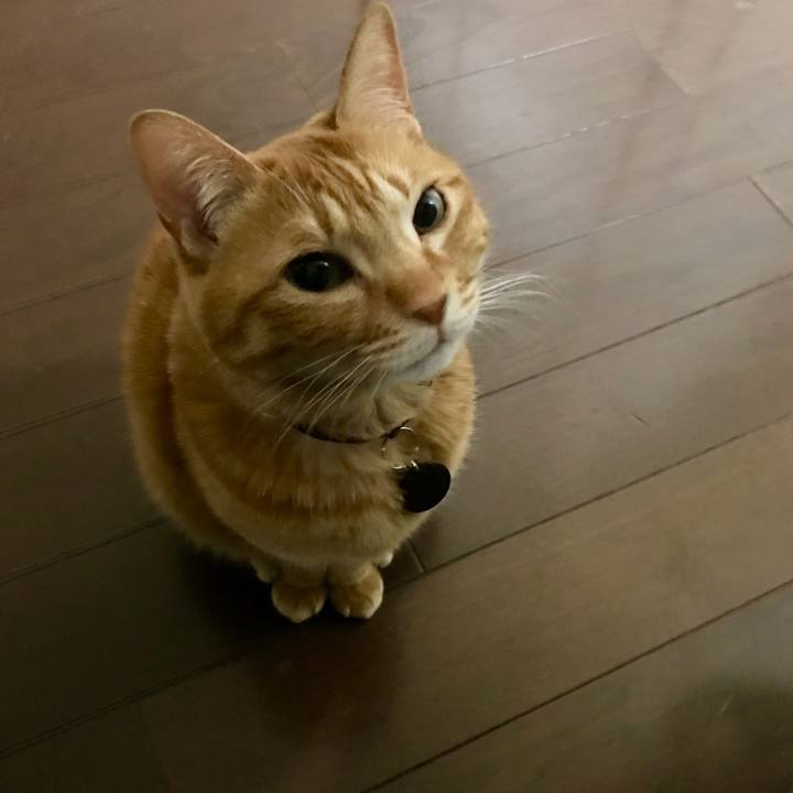 A0aa1730 1fbf 41f4 9ff2 bd6b93471eb8 1521369261273