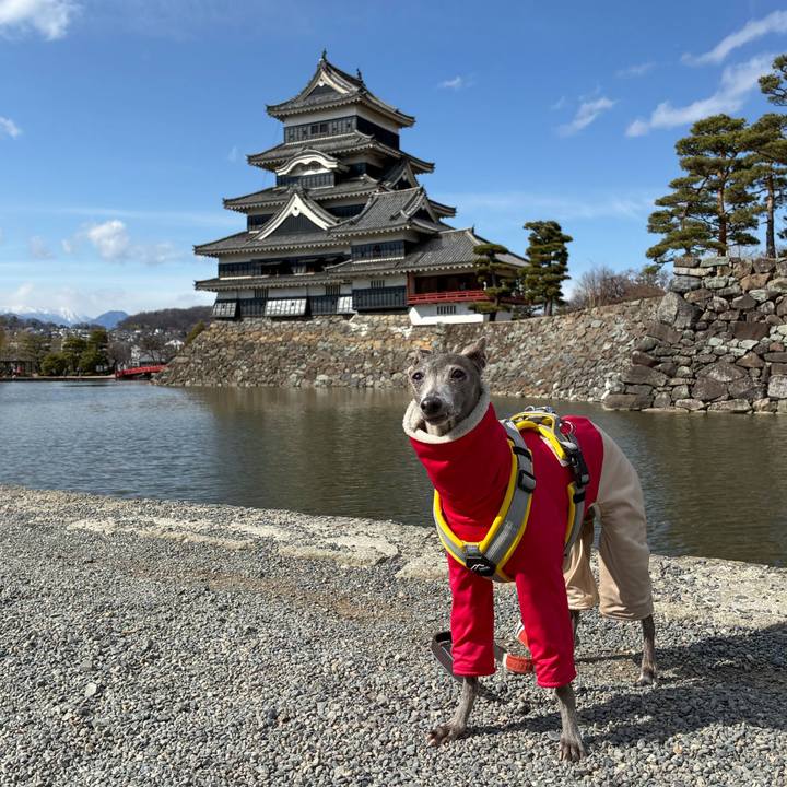 A0aa49cb 3118 4bce 90a0 515fc3abddec 1774080717966