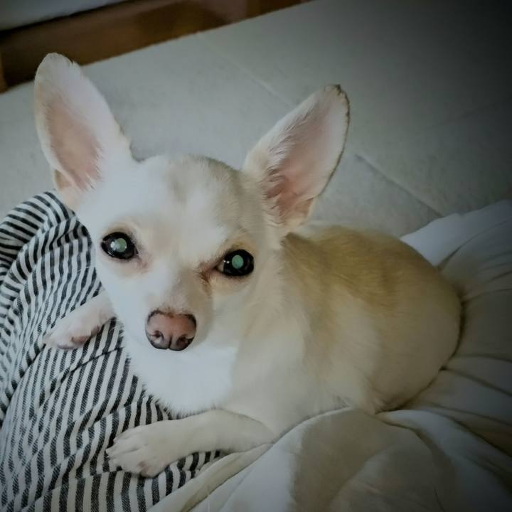 A0aa70ba a412 49b2 a854 2d246ba5df21 1722463289880