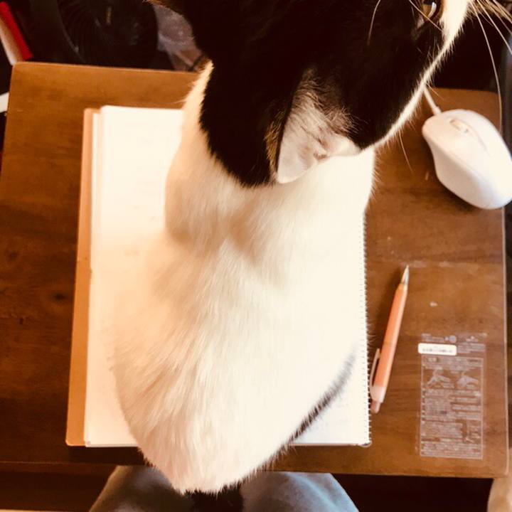 A0aa7bd8 d4da 4121 952f 94dffc4f85de 1509610559625