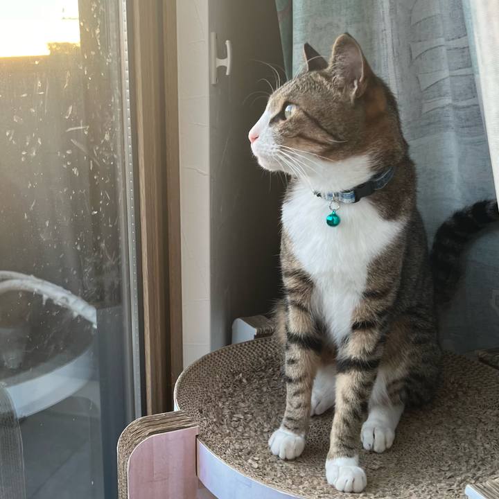 A0aa84d8 c1f7 4785 af21 29beda0087bd 1723026599191