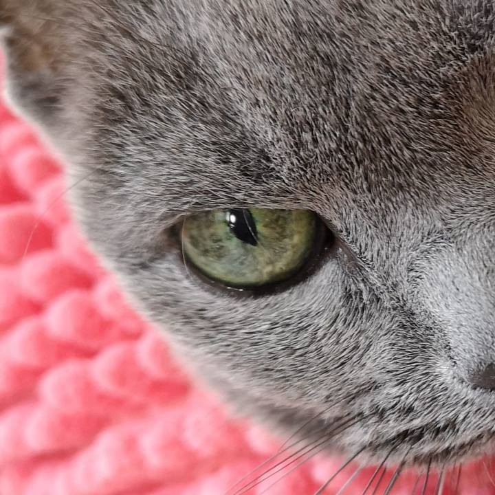 A0aa93e8 a432 4190 b928 d1da9fd0785c 1634961026236