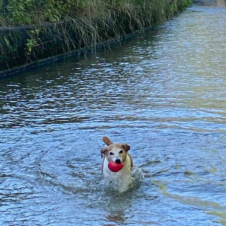 A0aab54a 31e3 463f 9609 8e3f59040e7a 1655020641527