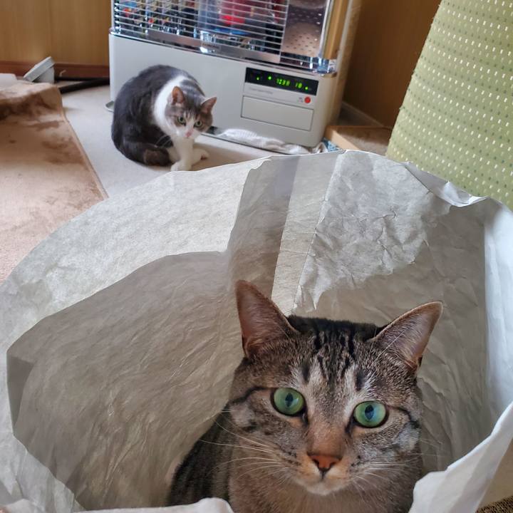 A0aaec3a ded9 4a1f 8e89 1a39ed813d83 1721359863746